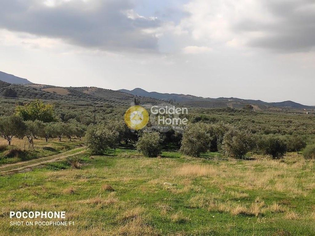 εικόνα αγγελίας