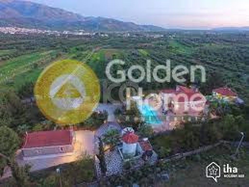 εικόνα αγγελίας