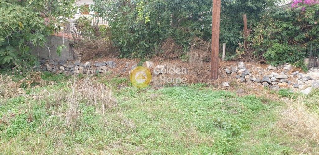 εικόνα αγγελίας