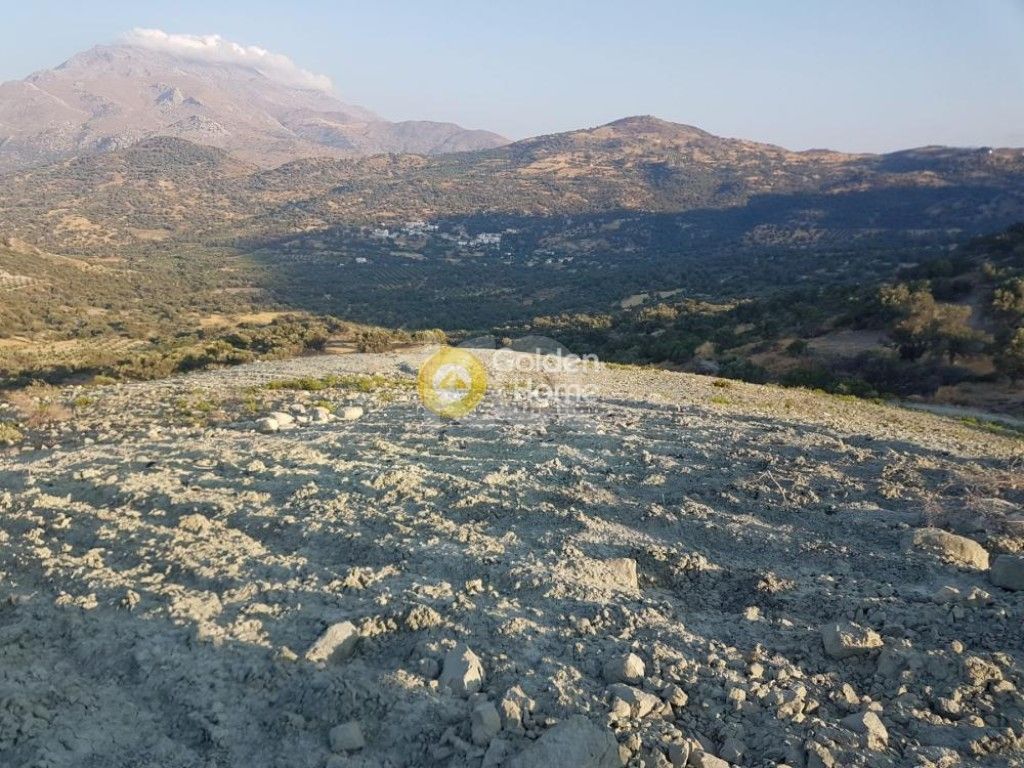 εικόνα αγγελίας