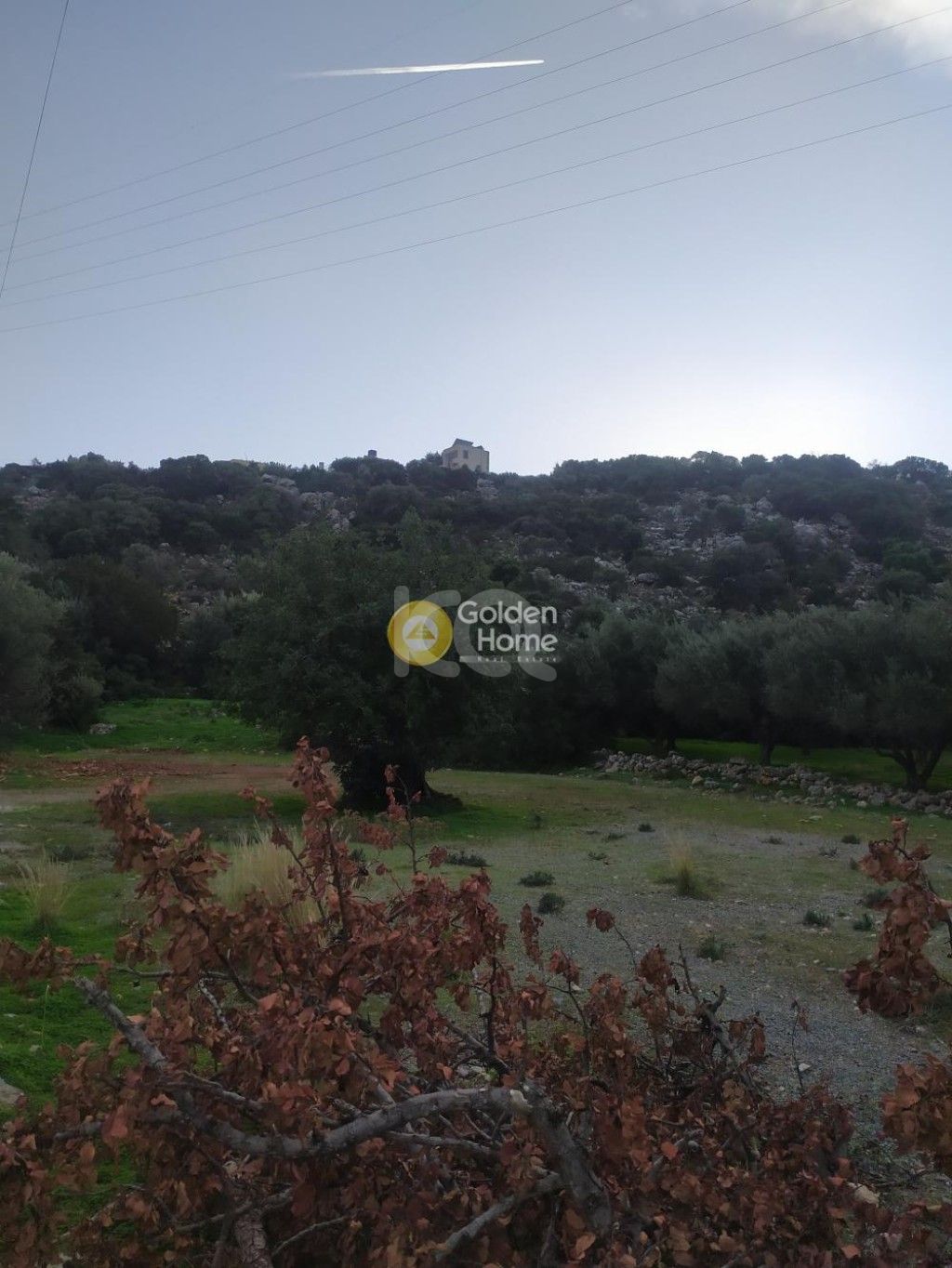 εικόνα αγγελίας