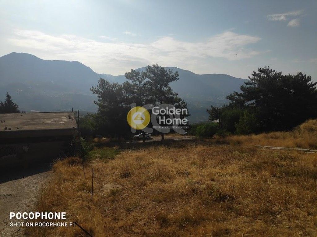 εικόνα αγγελίας