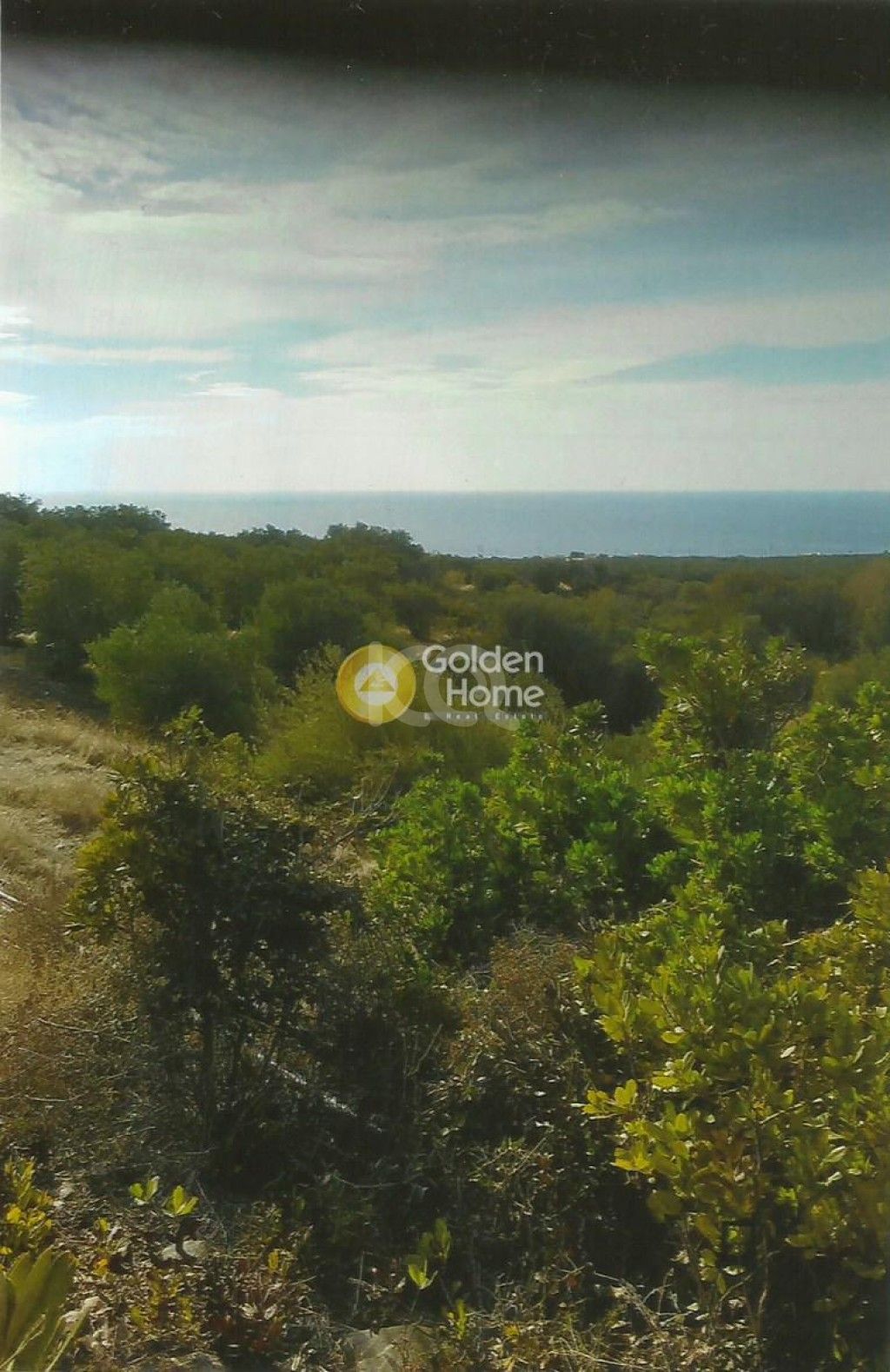 εικόνα αγγελίας