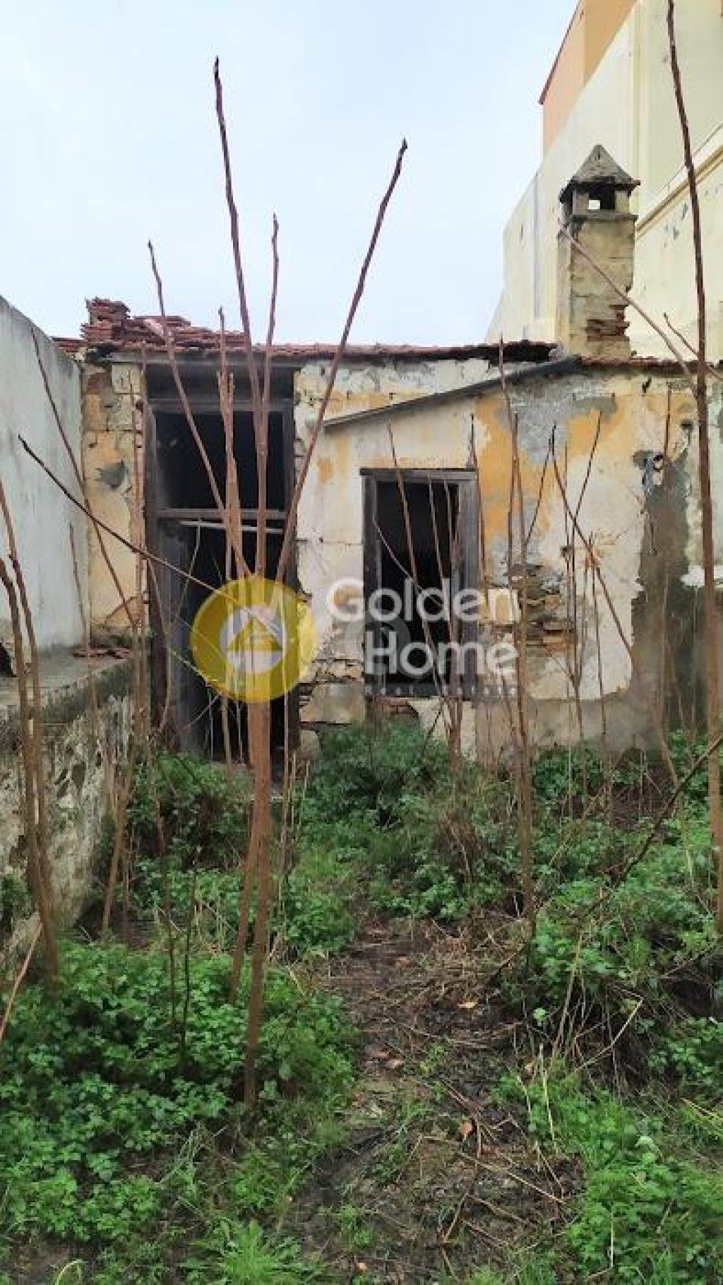 εικόνα αγγελίας