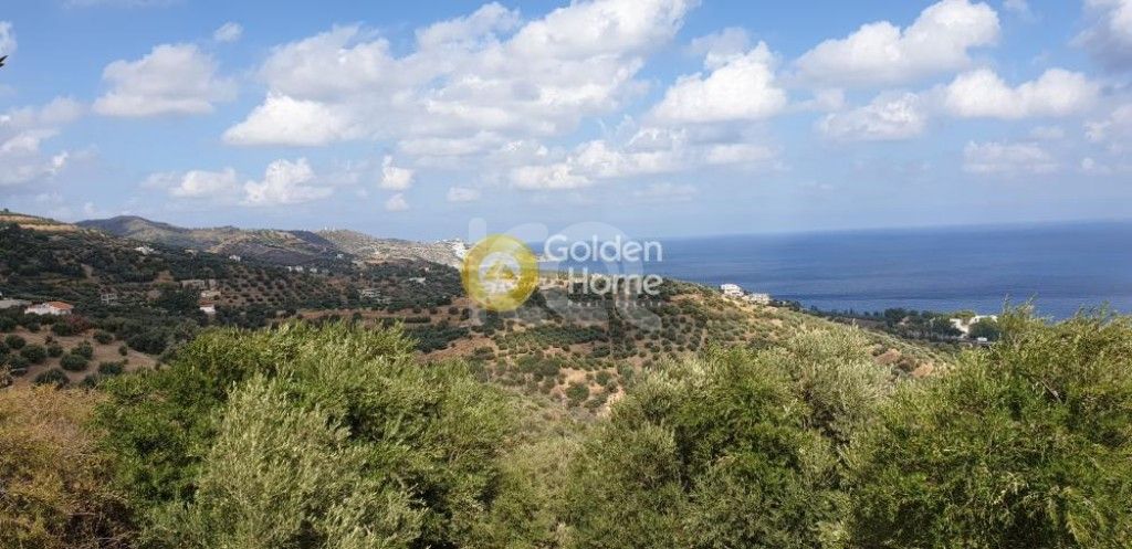 εικόνα αγγελίας