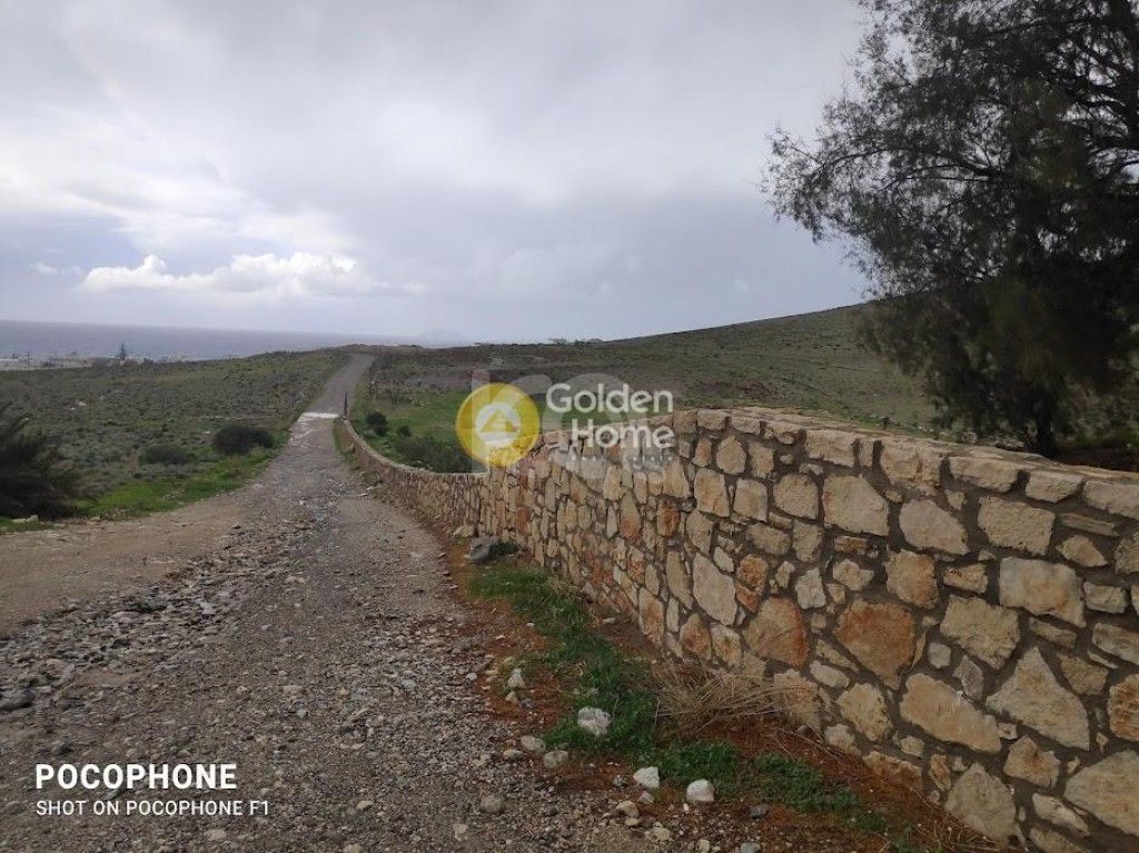 εικόνα αγγελίας