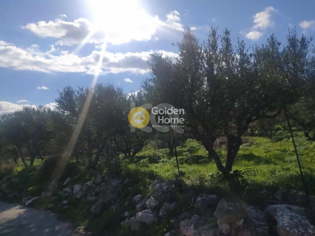 εικόνα αγγελίας