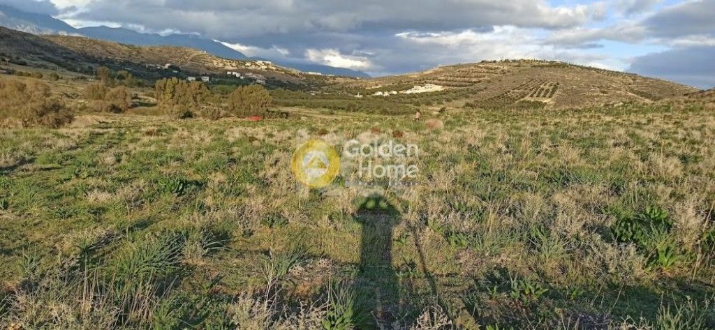 εικόνα αγγελίας