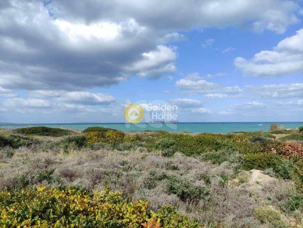 εικόνα αγγελίας