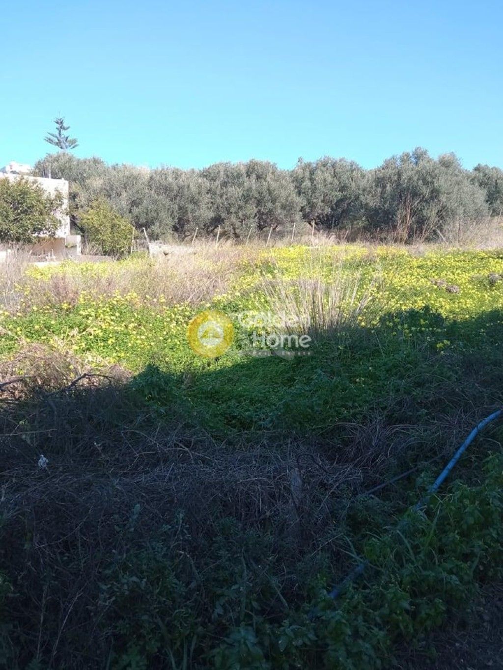 εικόνα αγγελίας