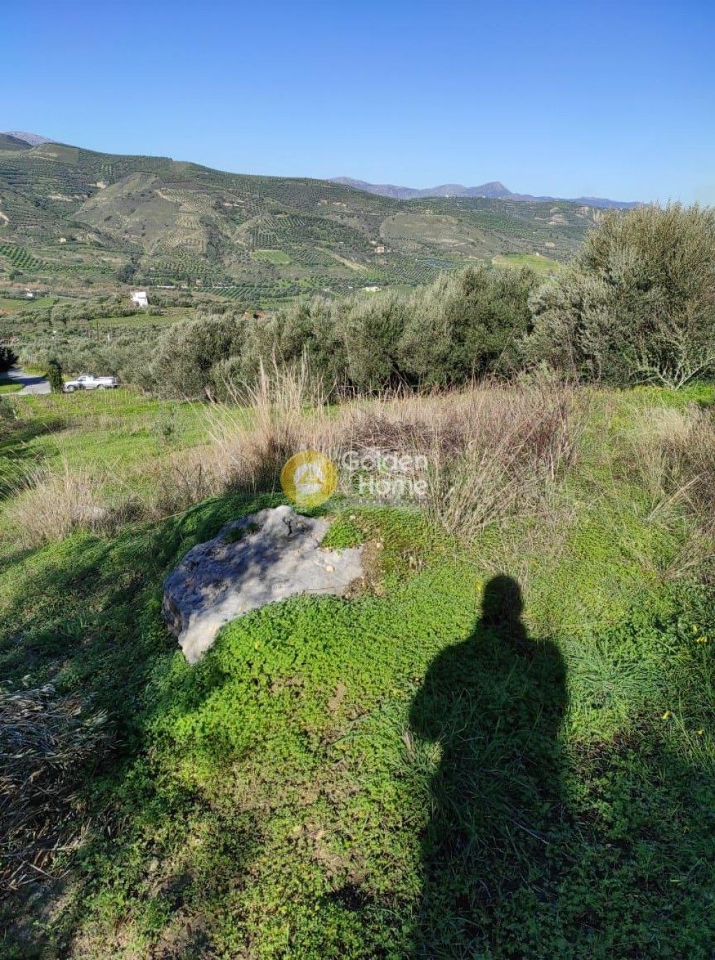 εικόνα αγγελίας