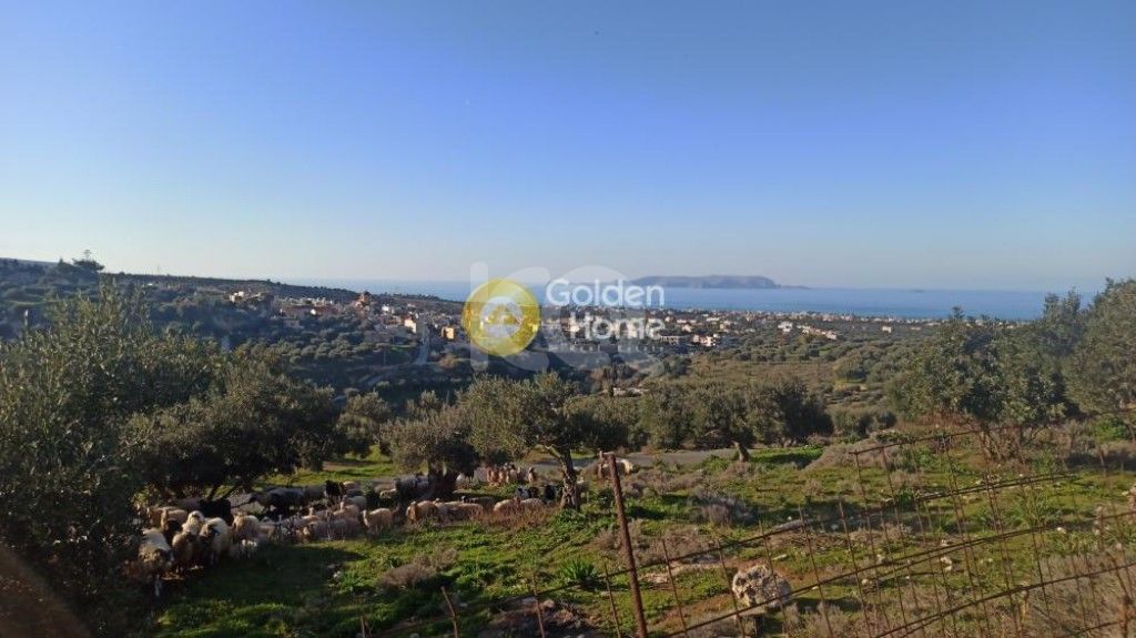 εικόνα αγγελίας