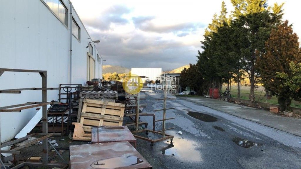 εικόνα αγγελίας