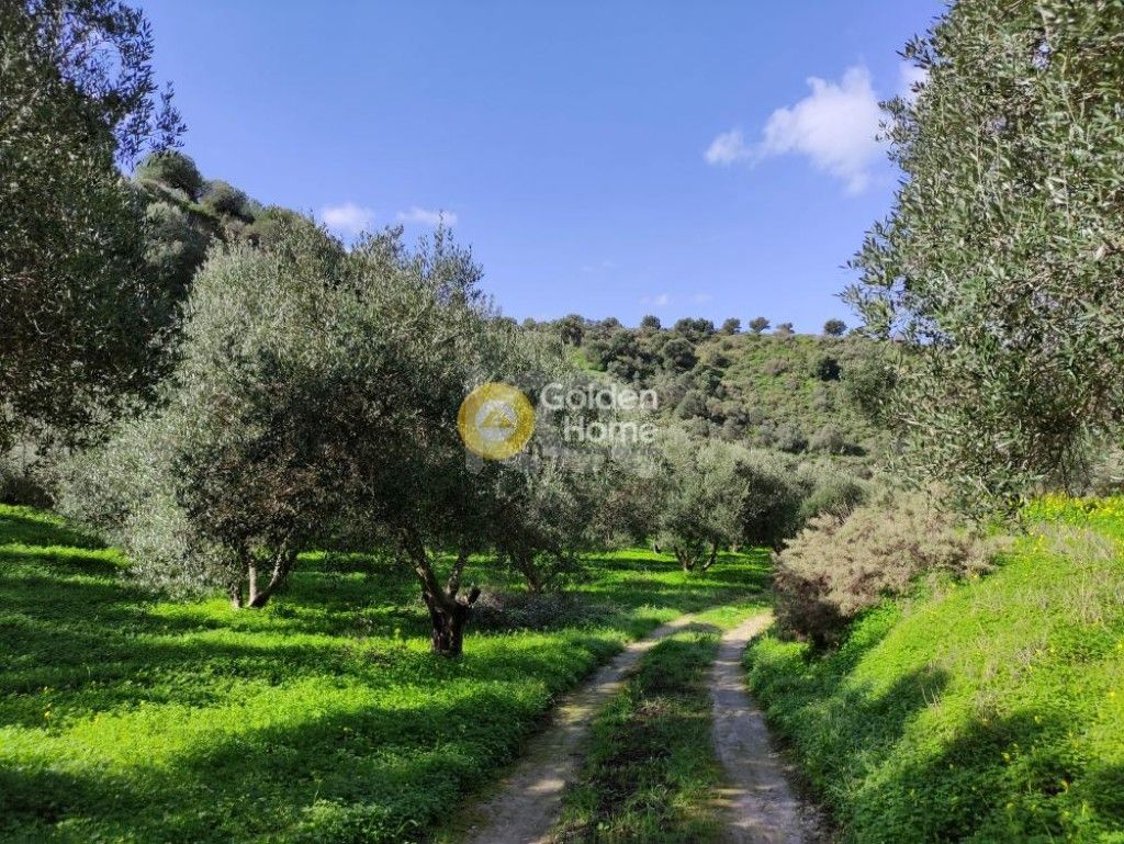 εικόνα αγγελίας