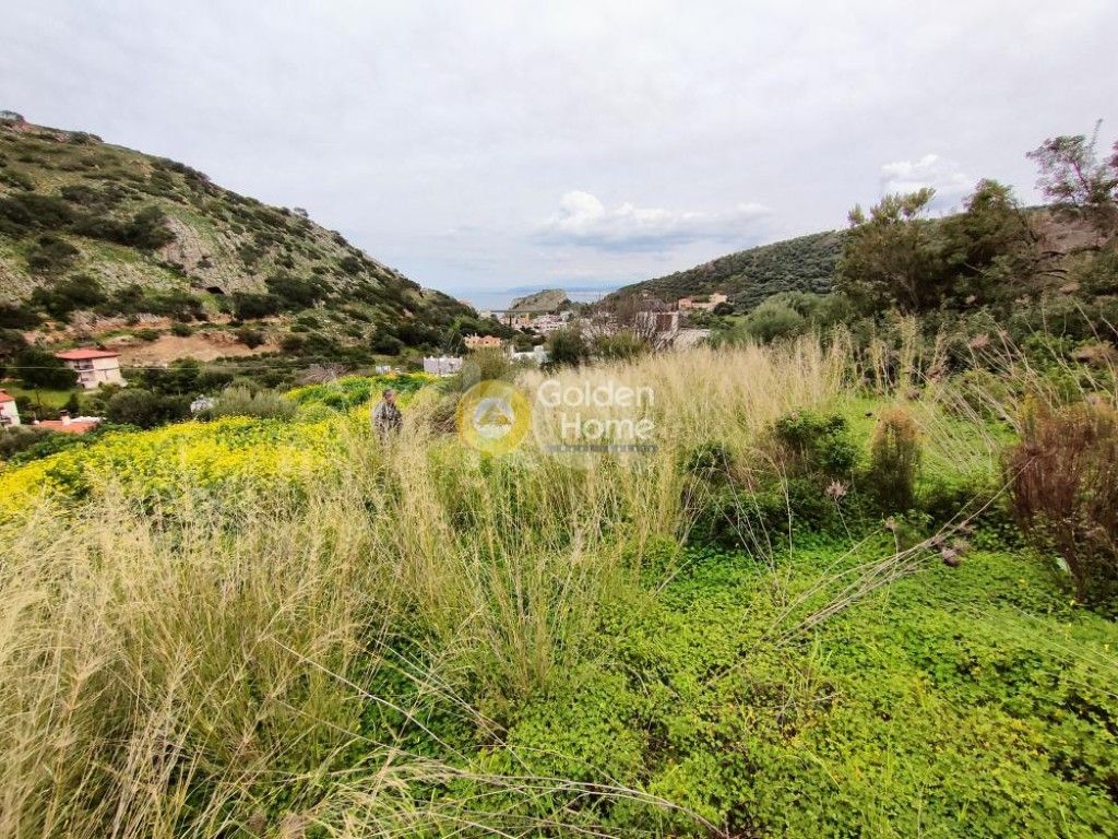 εικόνα αγγελίας