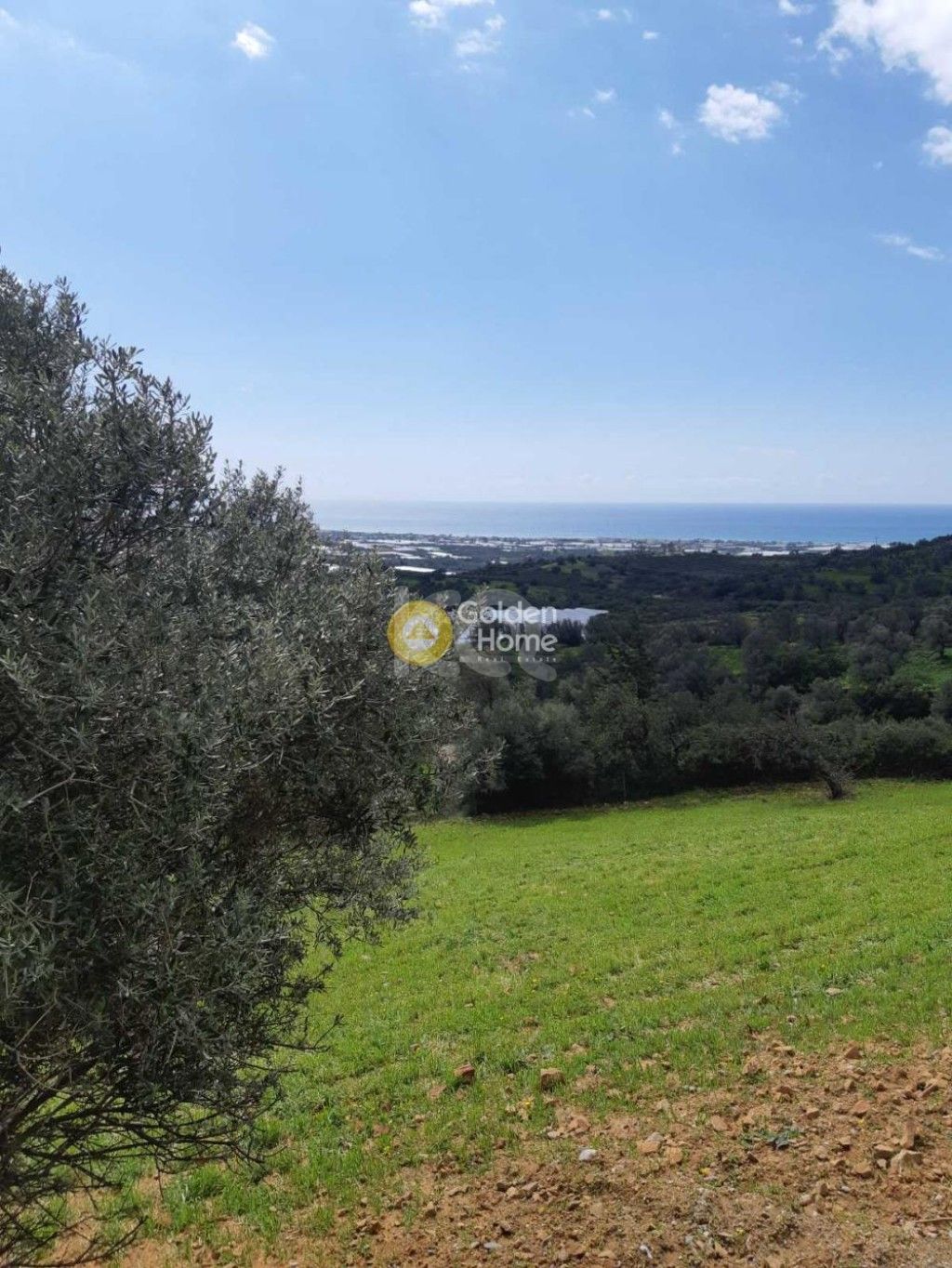 εικόνα αγγελίας