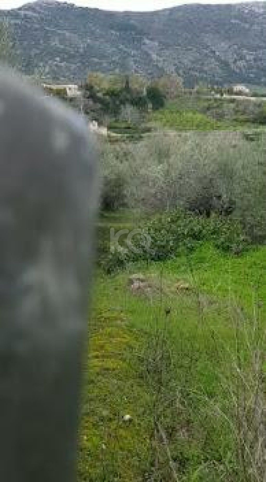 εικόνα αγγελίας