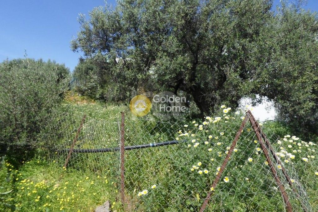 εικόνα αγγελίας