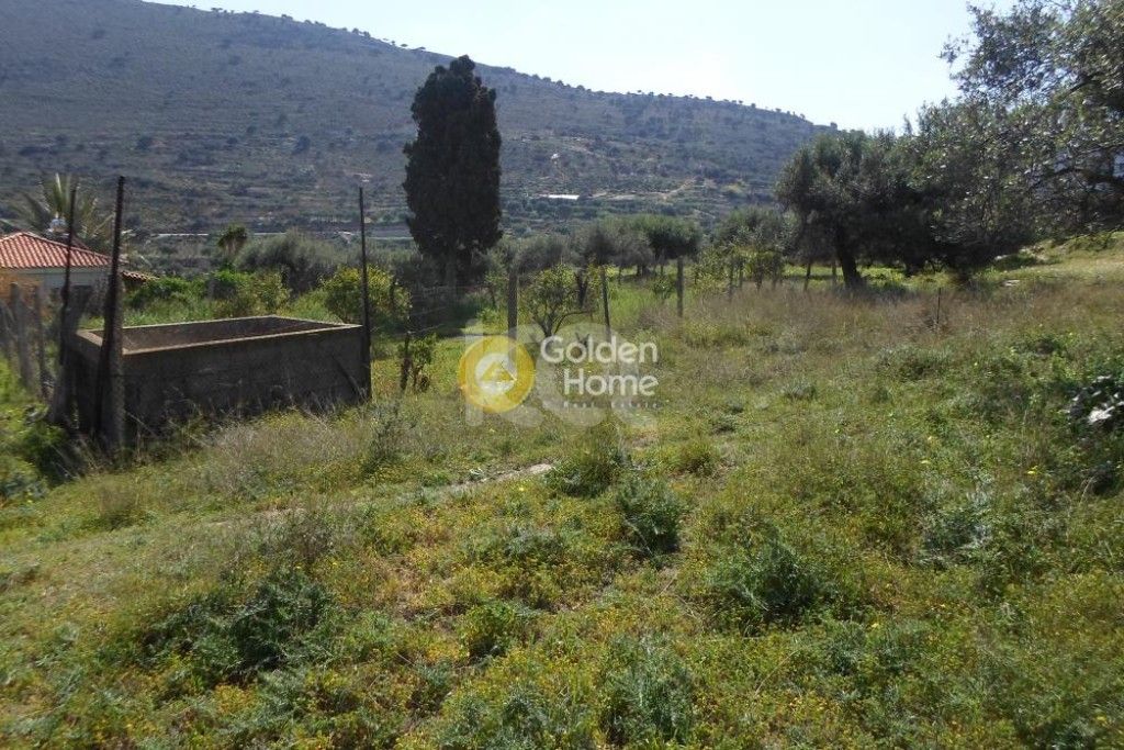 εικόνα αγγελίας