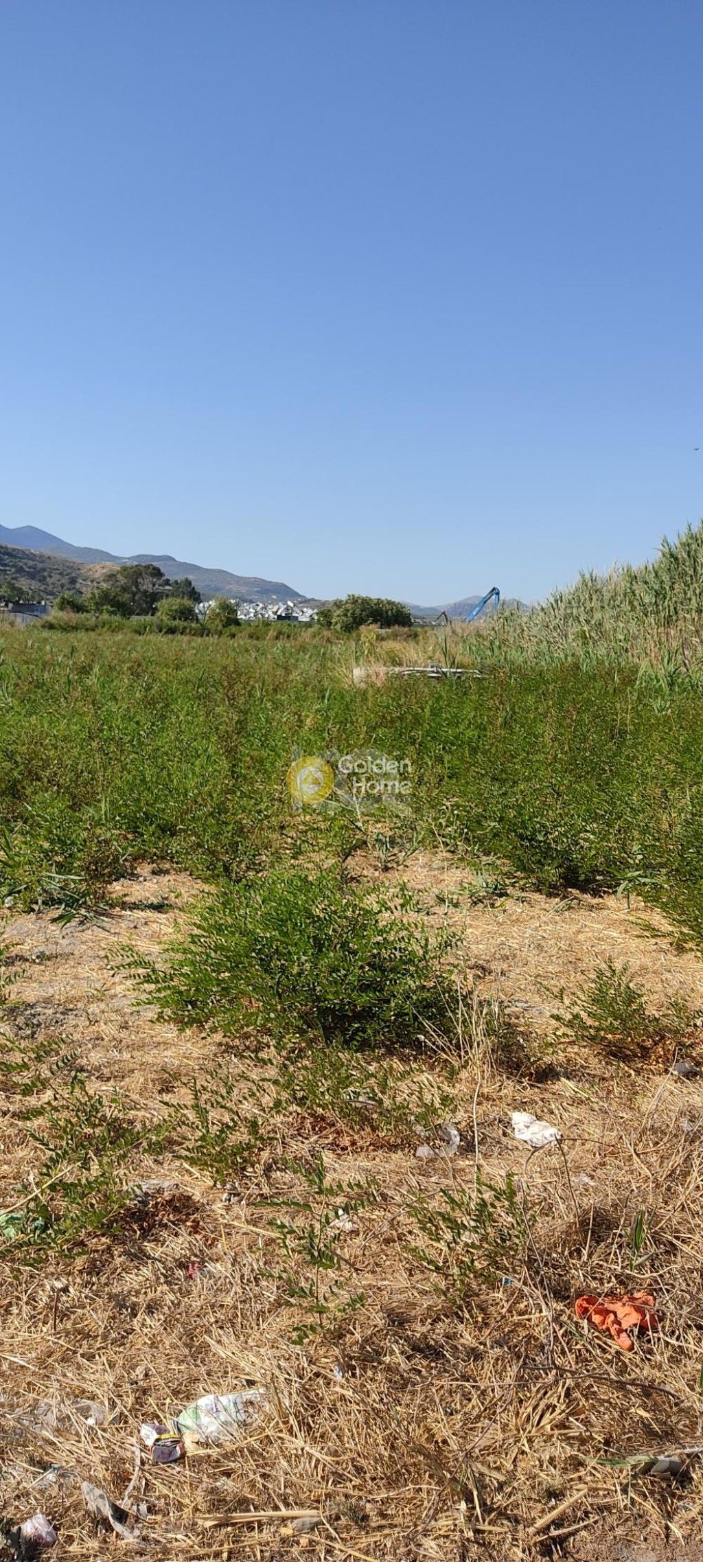 εικόνα αγγελίας