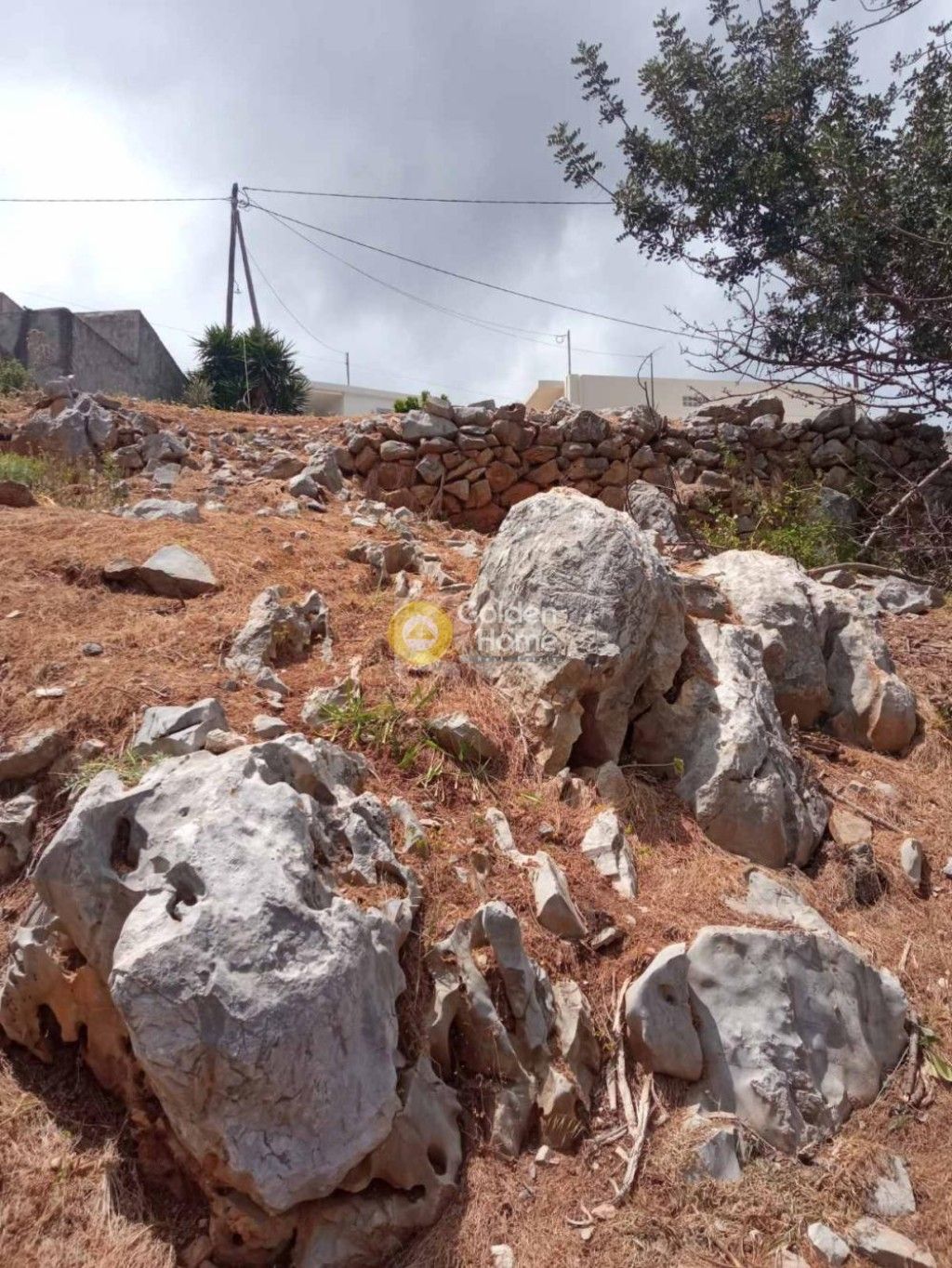 εικόνα αγγελίας