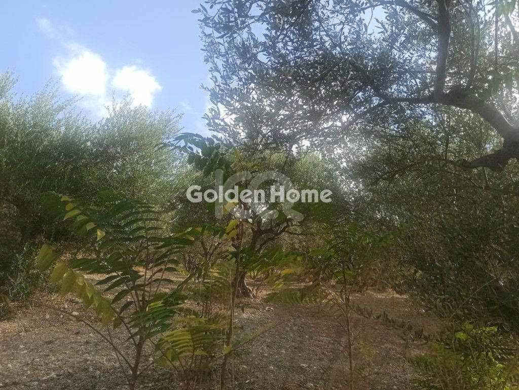 εικόνα αγγελίας