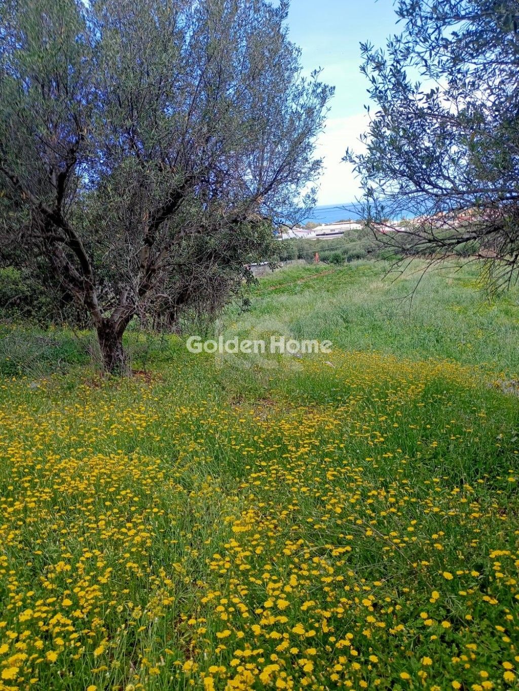 εικόνα αγγελίας