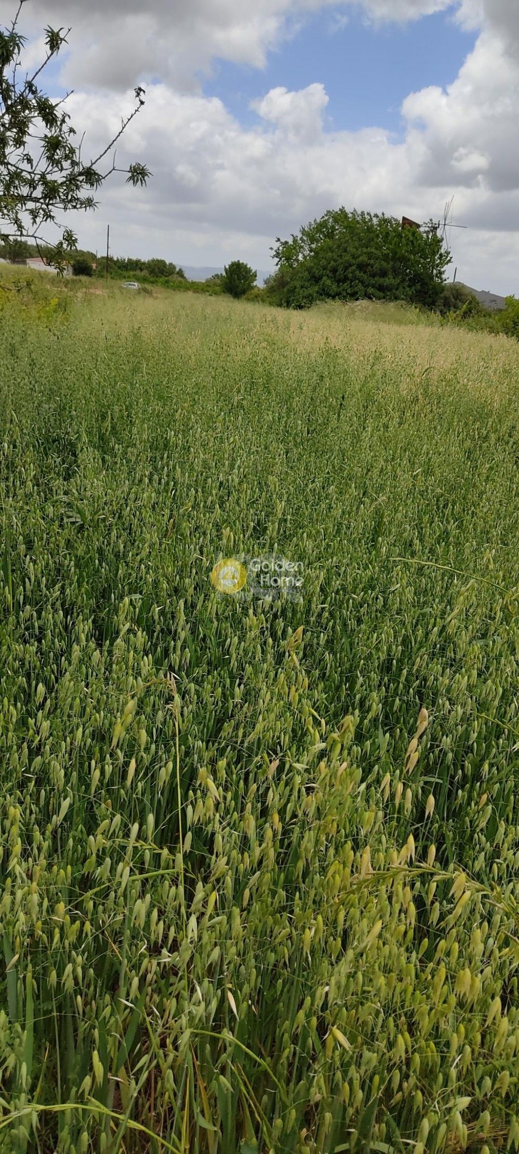 εικόνα αγγελίας