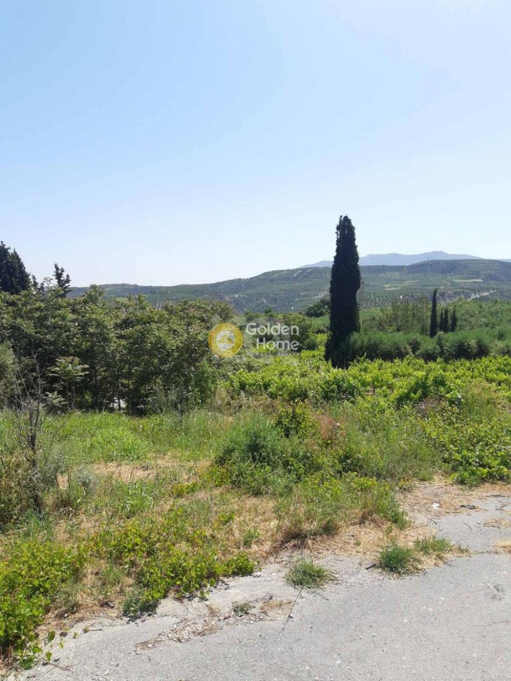 εικόνα αγγελίας