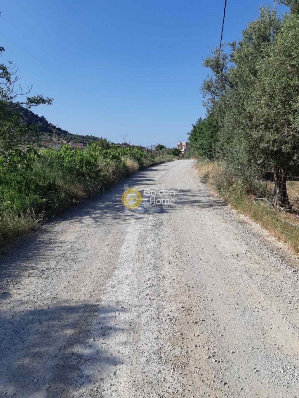 εικόνα αγγελίας