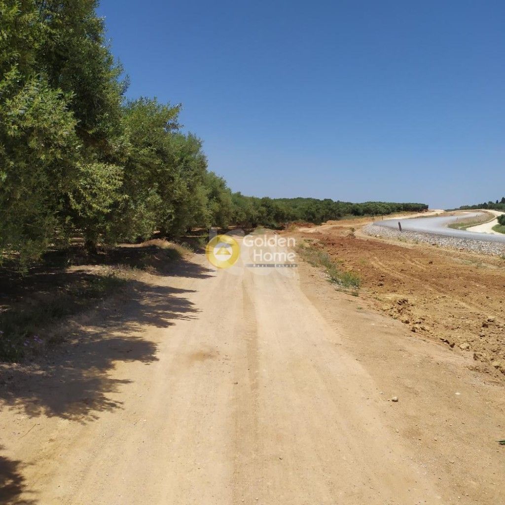 εικόνα αγγελίας