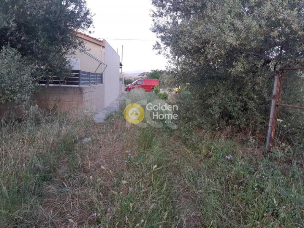 εικόνα αγγελίας