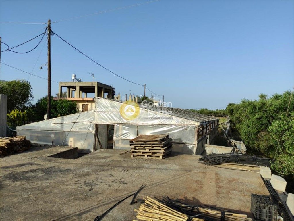 εικόνα αγγελίας