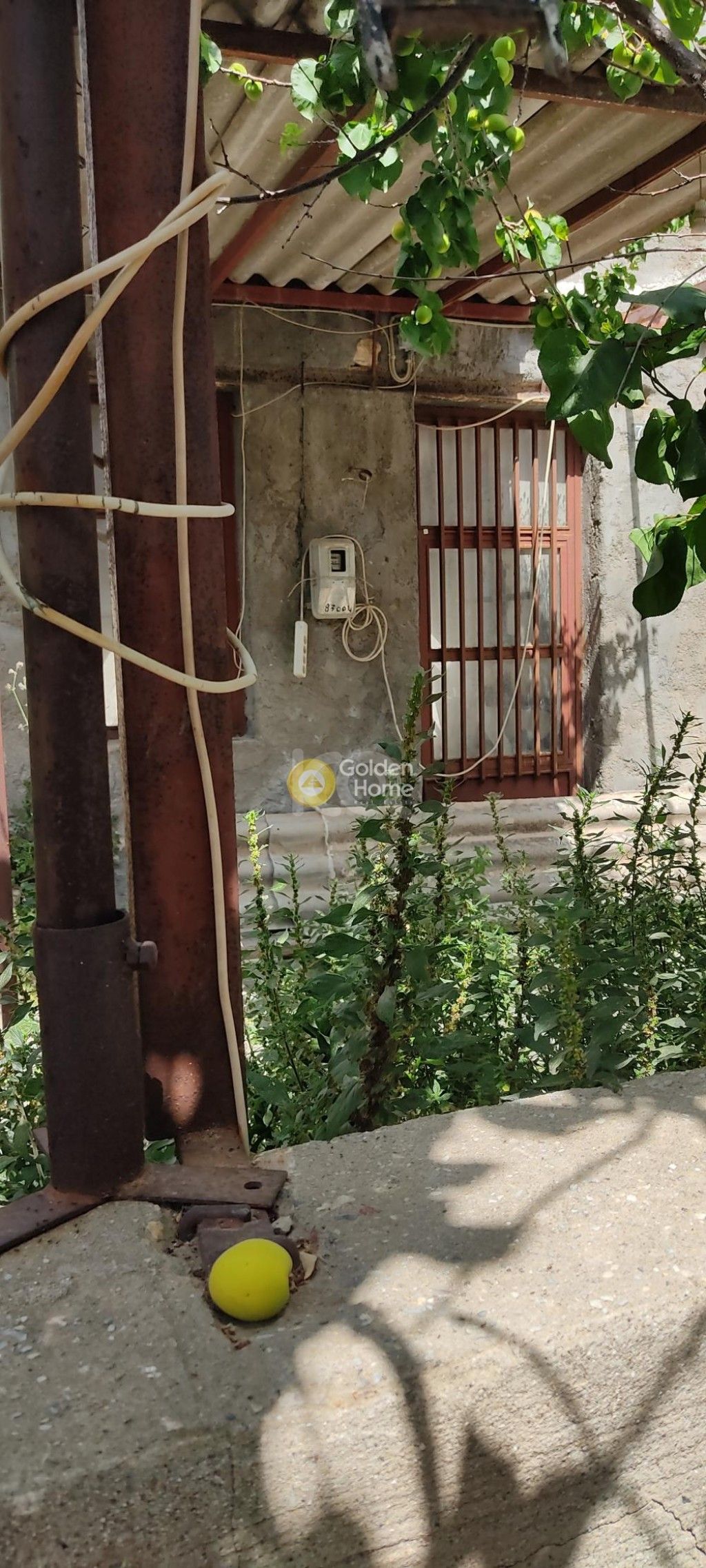 εικόνα αγγελίας