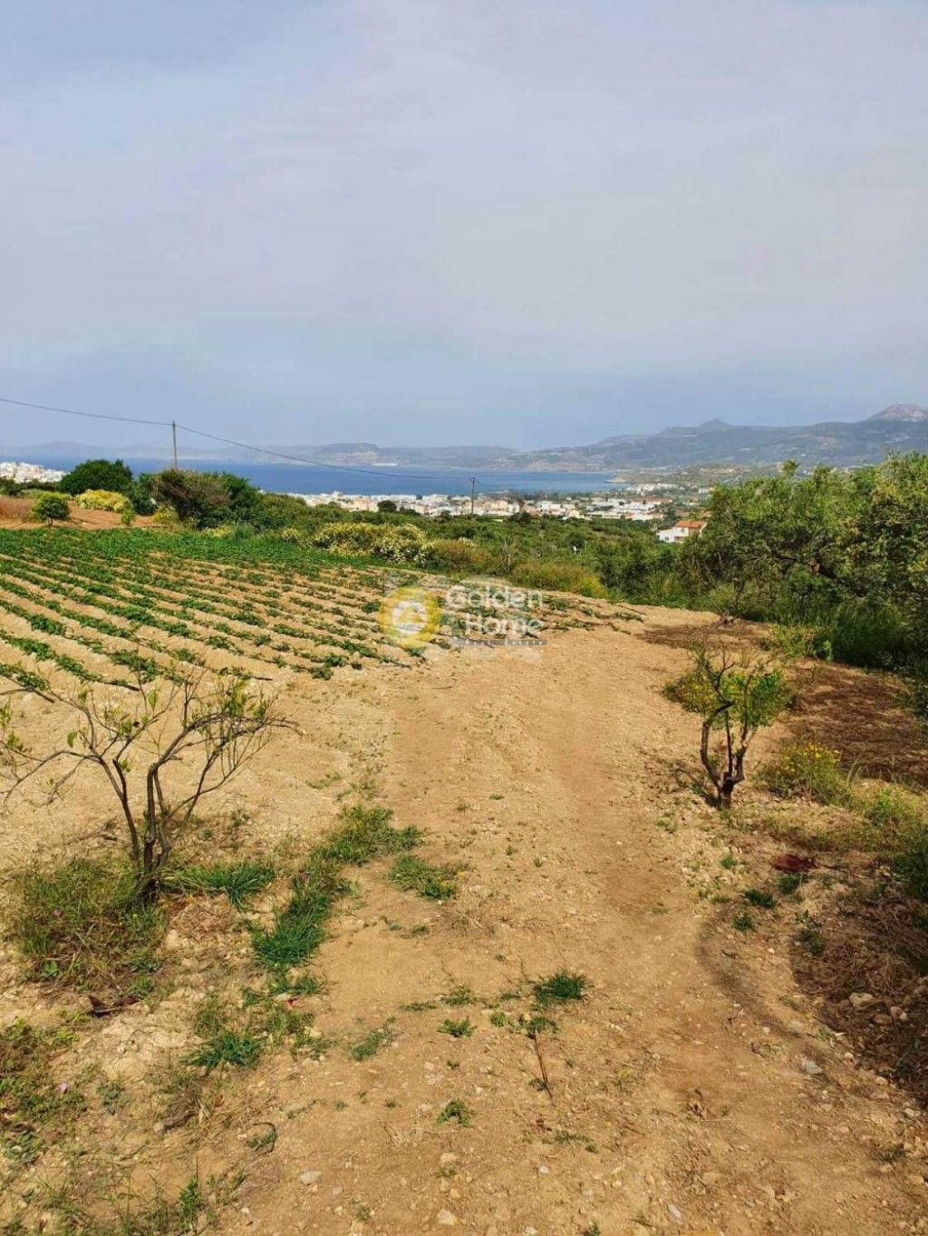 εικόνα αγγελίας