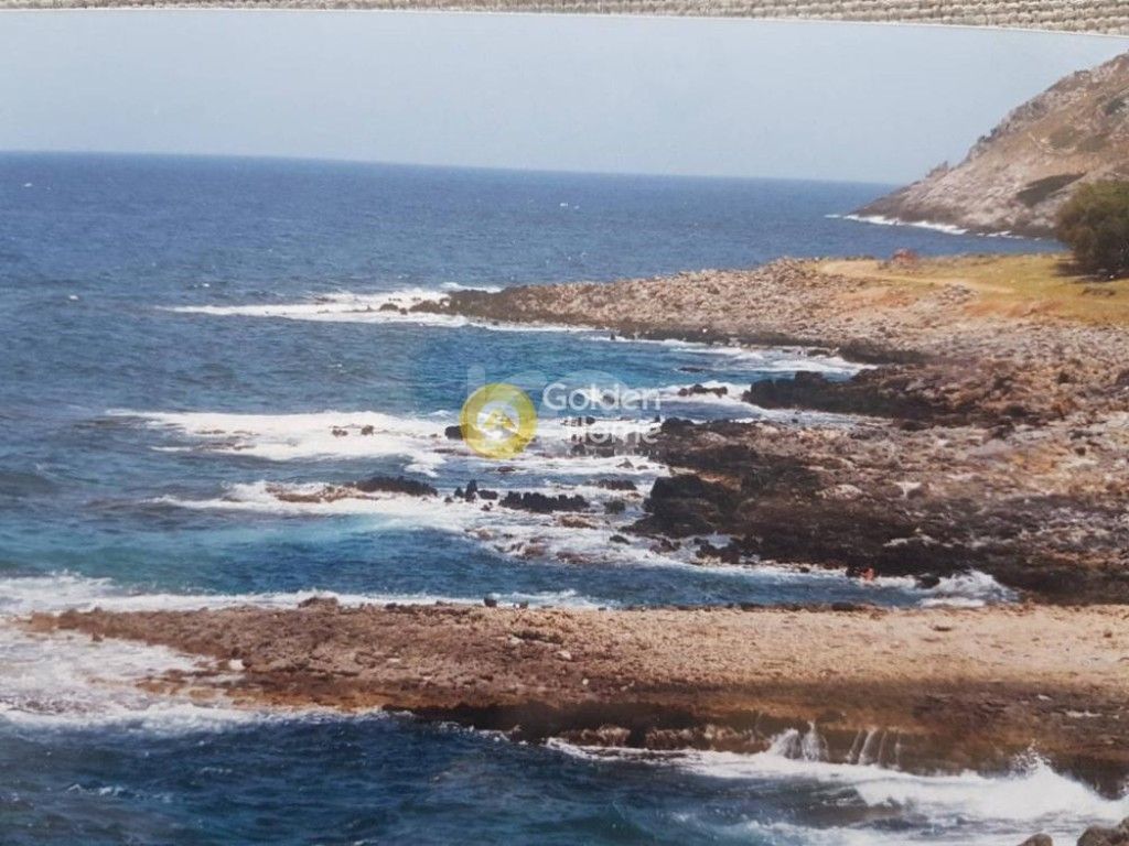 εικόνα αγγελίας