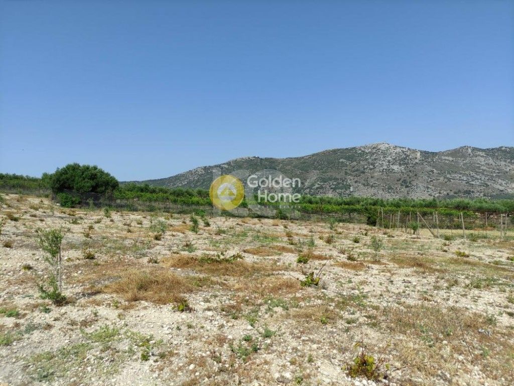 εικόνα αγγελίας