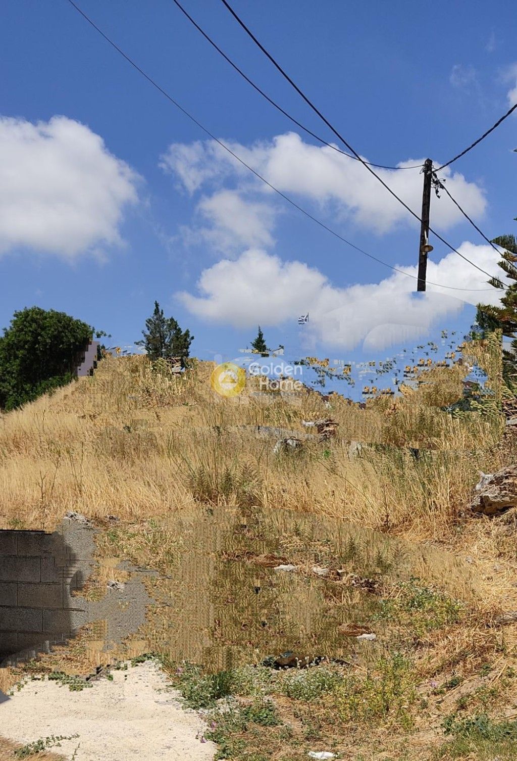 εικόνα αγγελίας