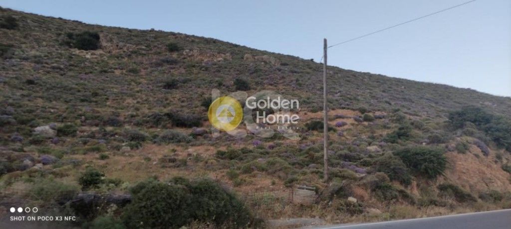 εικόνα αγγελίας