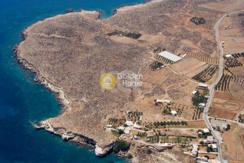 εικόνα αγγελίας