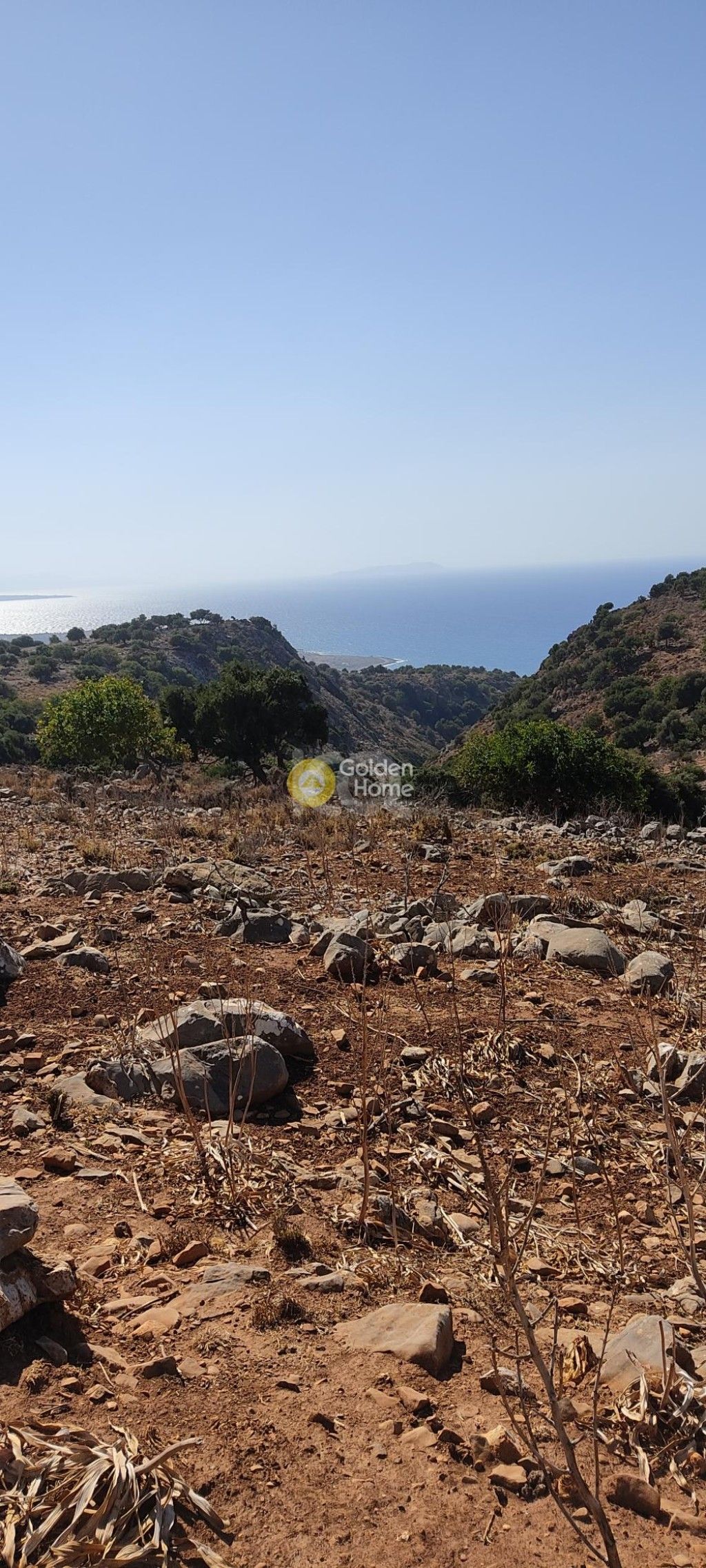 εικόνα αγγελίας