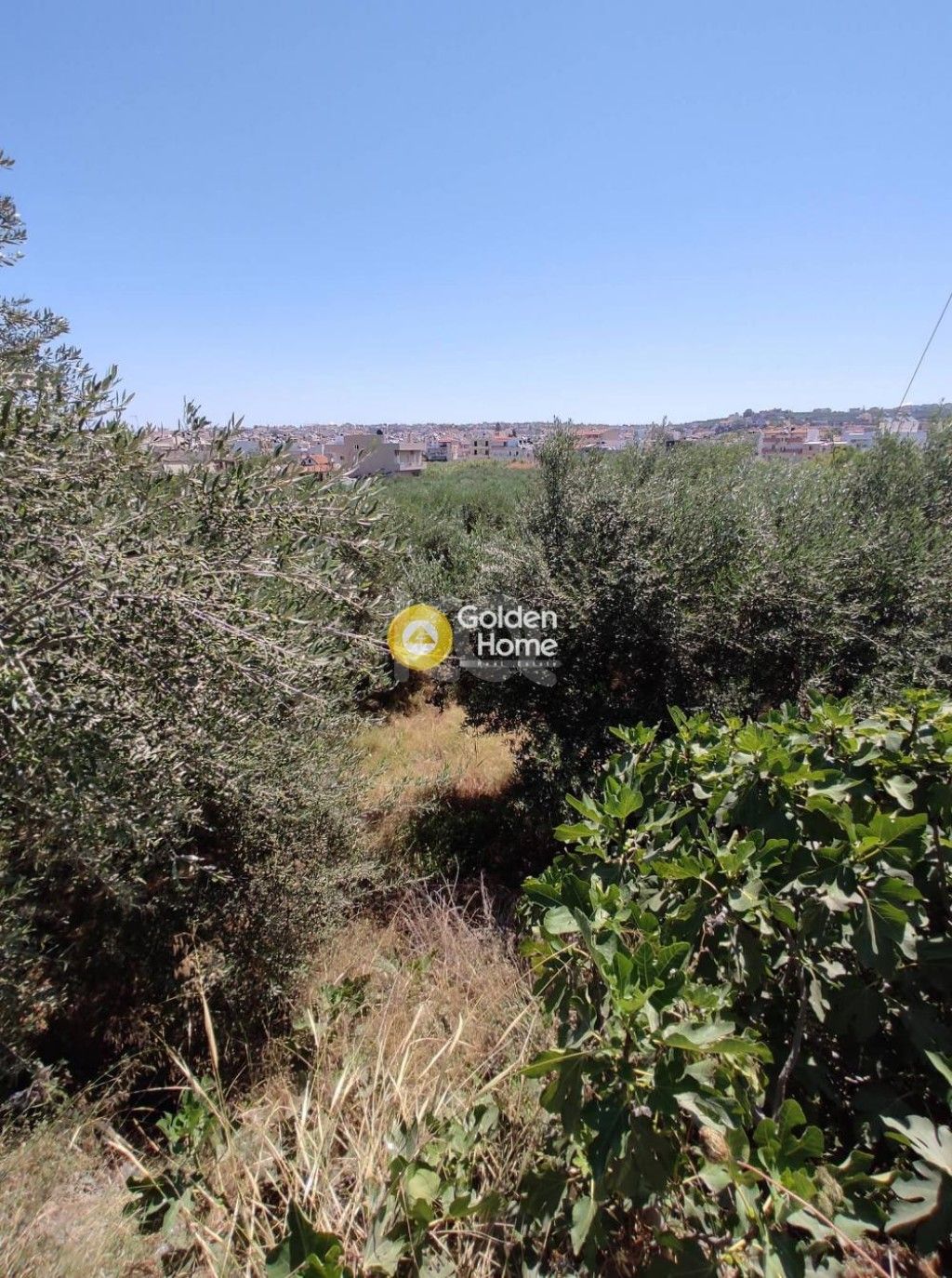 εικόνα αγγελίας