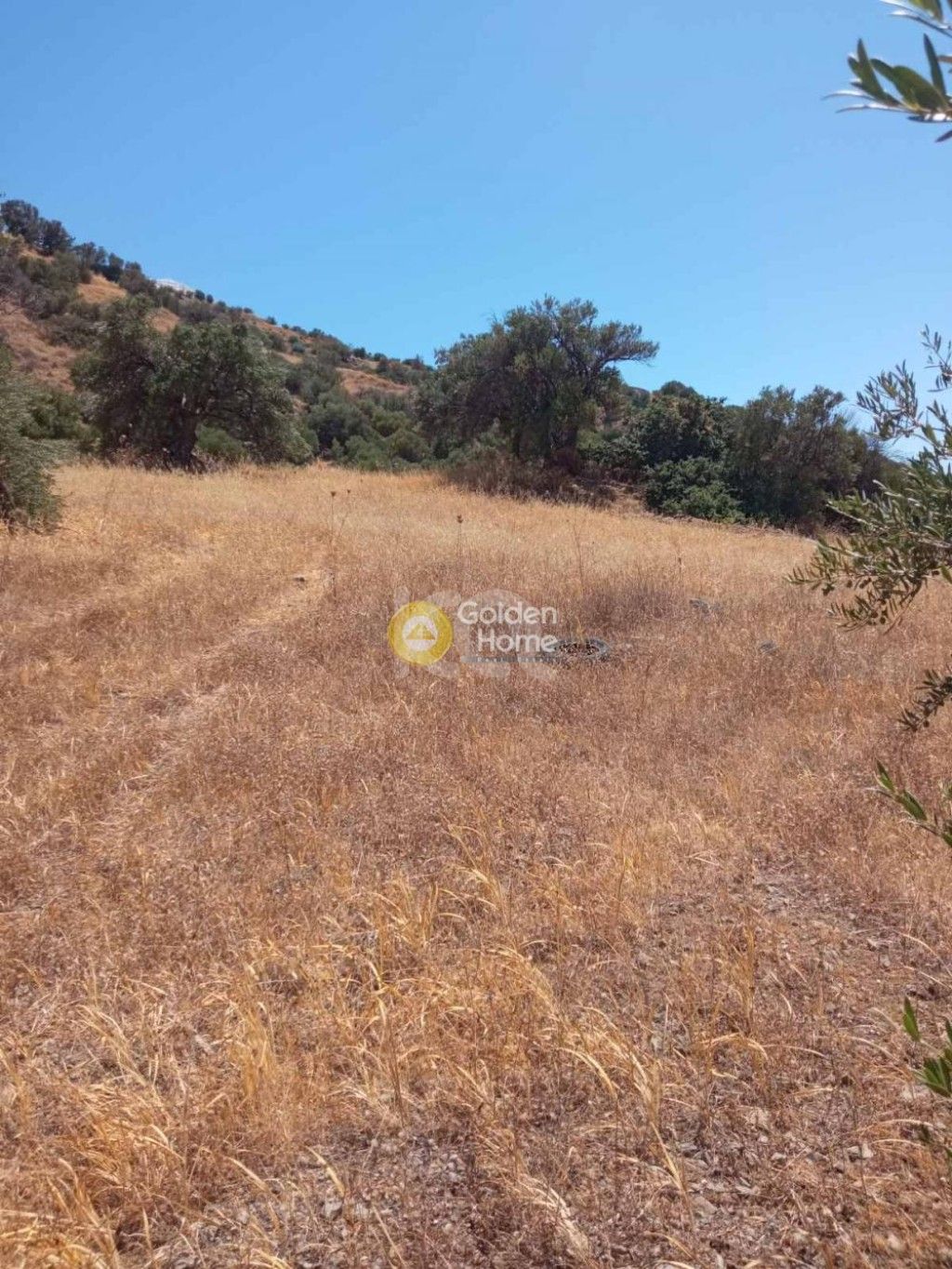 εικόνα αγγελίας