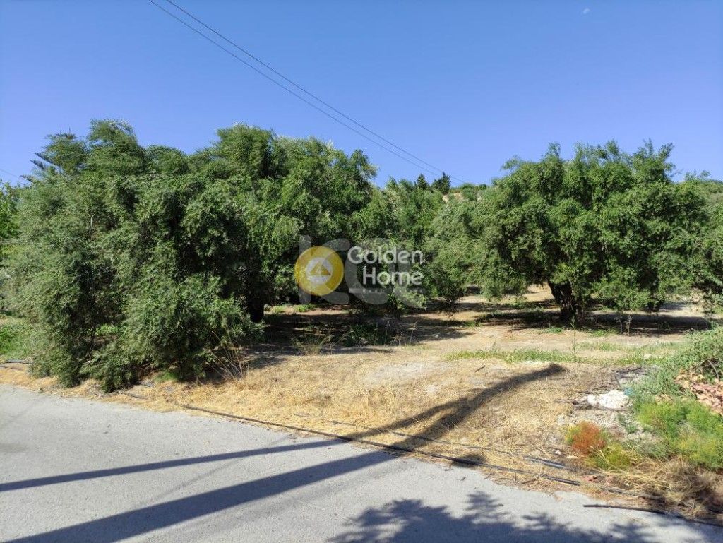 εικόνα αγγελίας