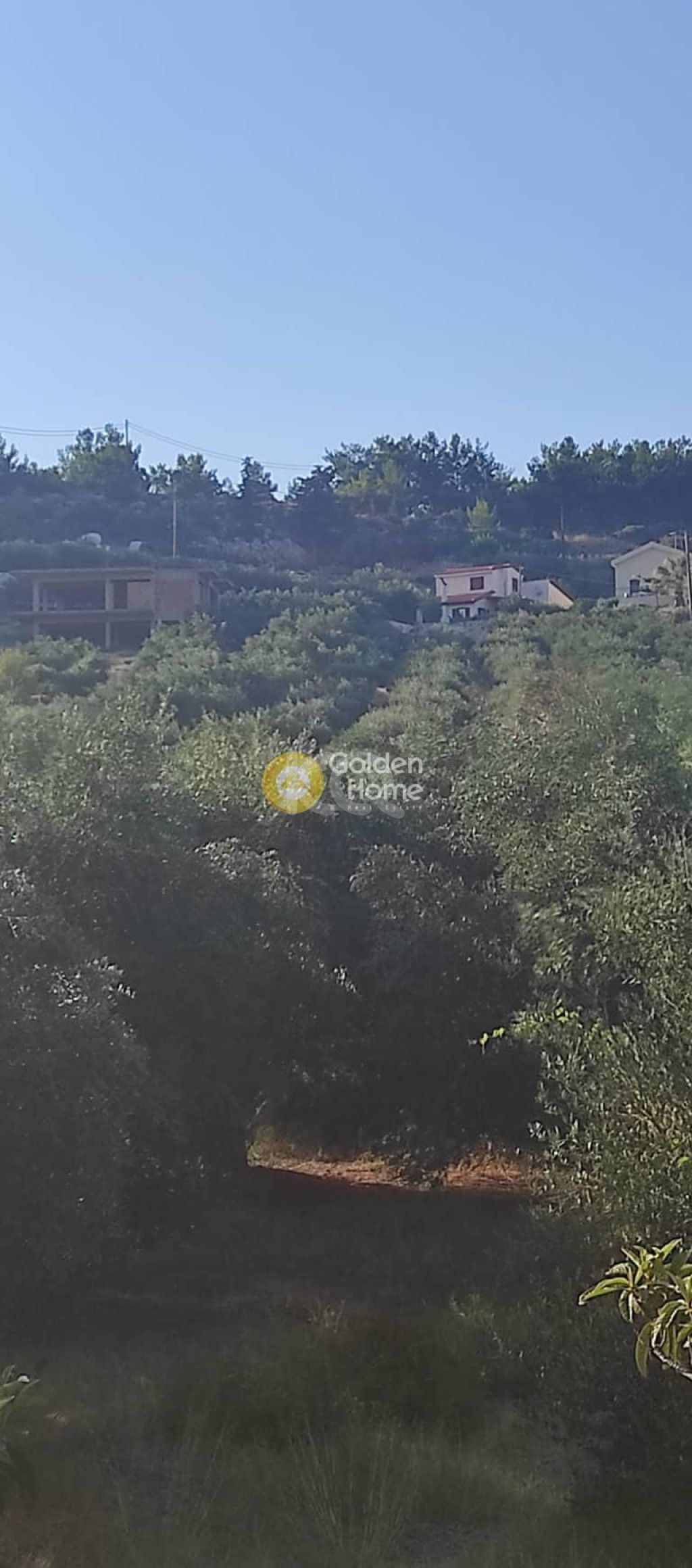 εικόνα αγγελίας