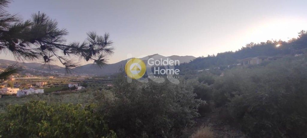 εικόνα αγγελίας