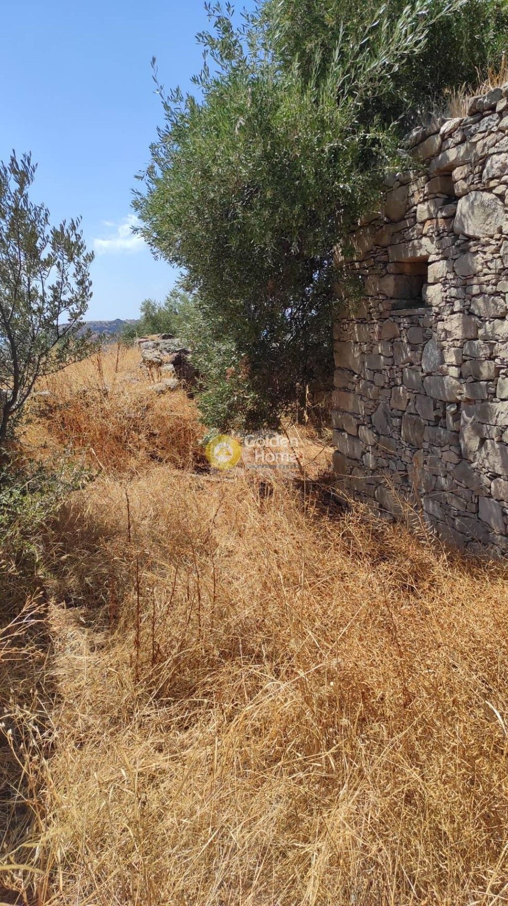 εικόνα αγγελίας