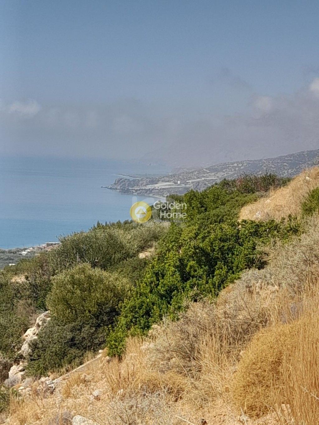 εικόνα αγγελίας