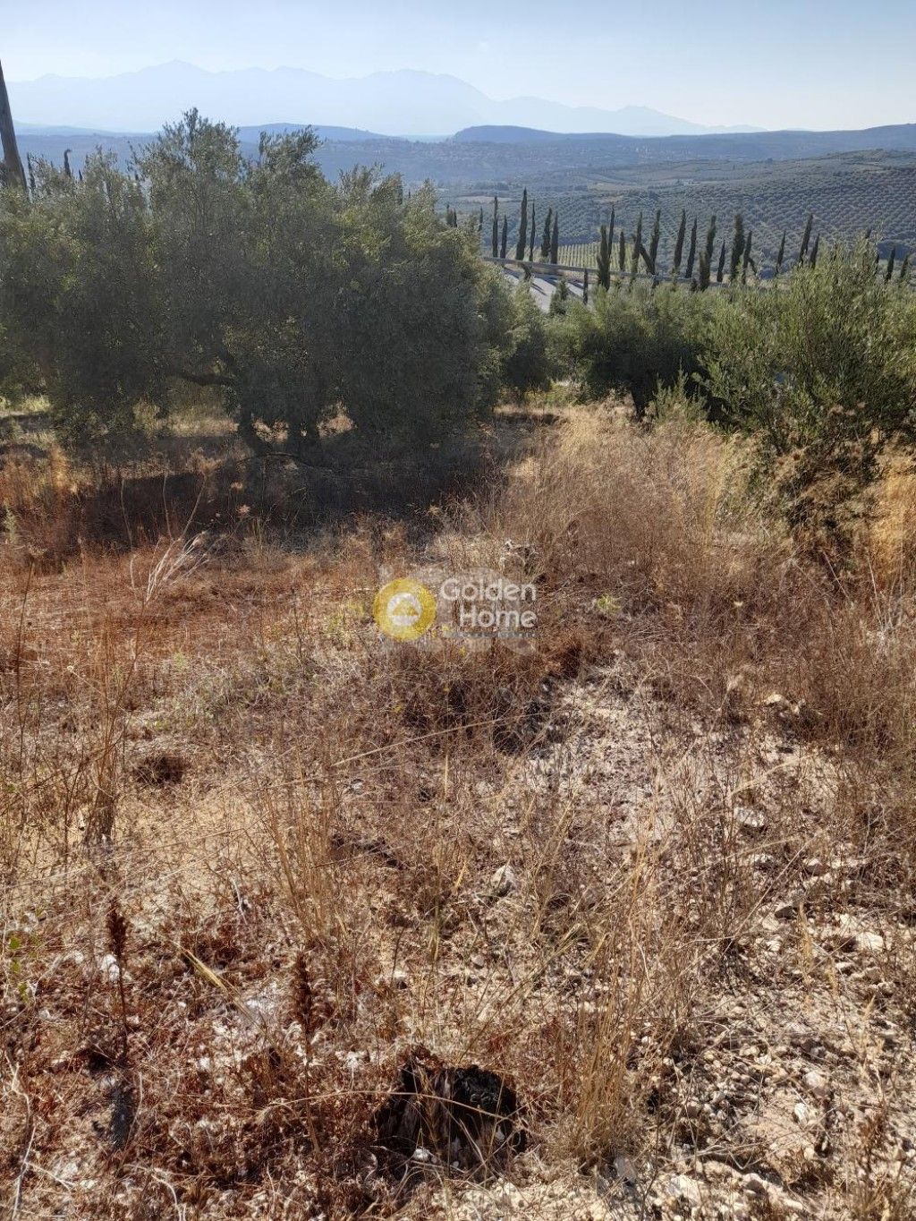 εικόνα αγγελίας