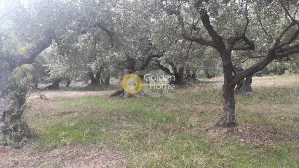 εικόνα αγγελίας